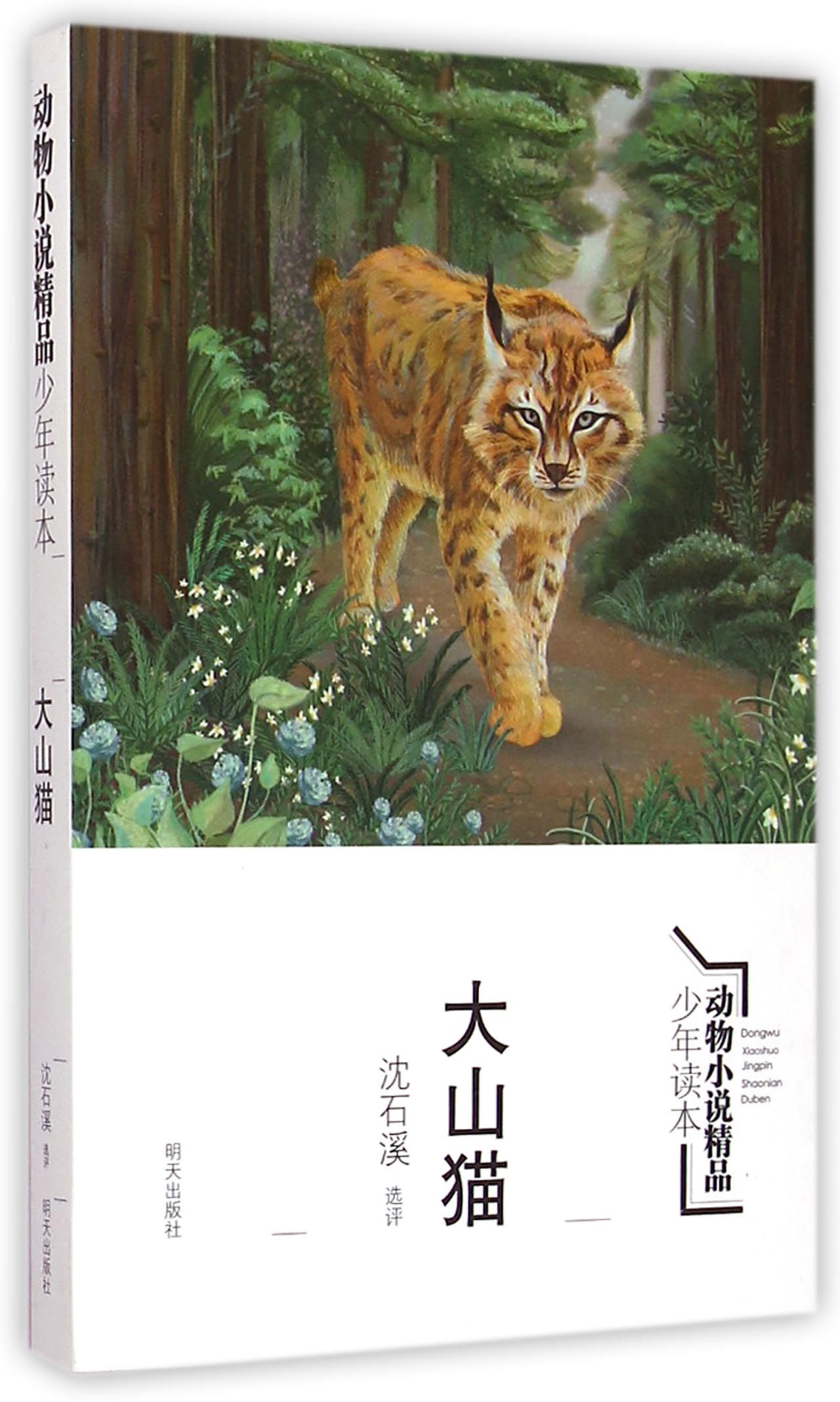 《大山猫/动物小说精品少年读本》