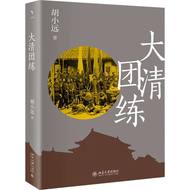 《大清团练 》